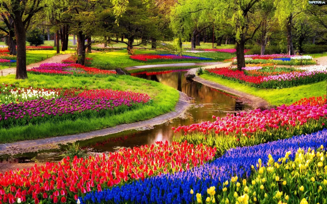 Journée libre à Keukenhof du 9 mai 2026